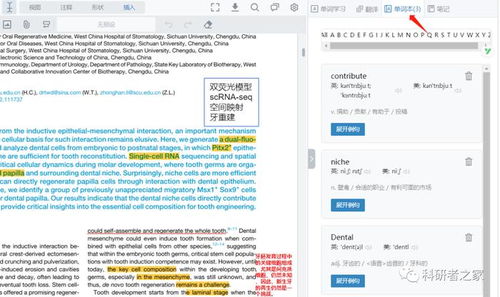 正版资料免费资料大全怎么买|畅享生活的每一天_可变版.0.502